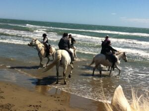 Paseos a caballo en la playa