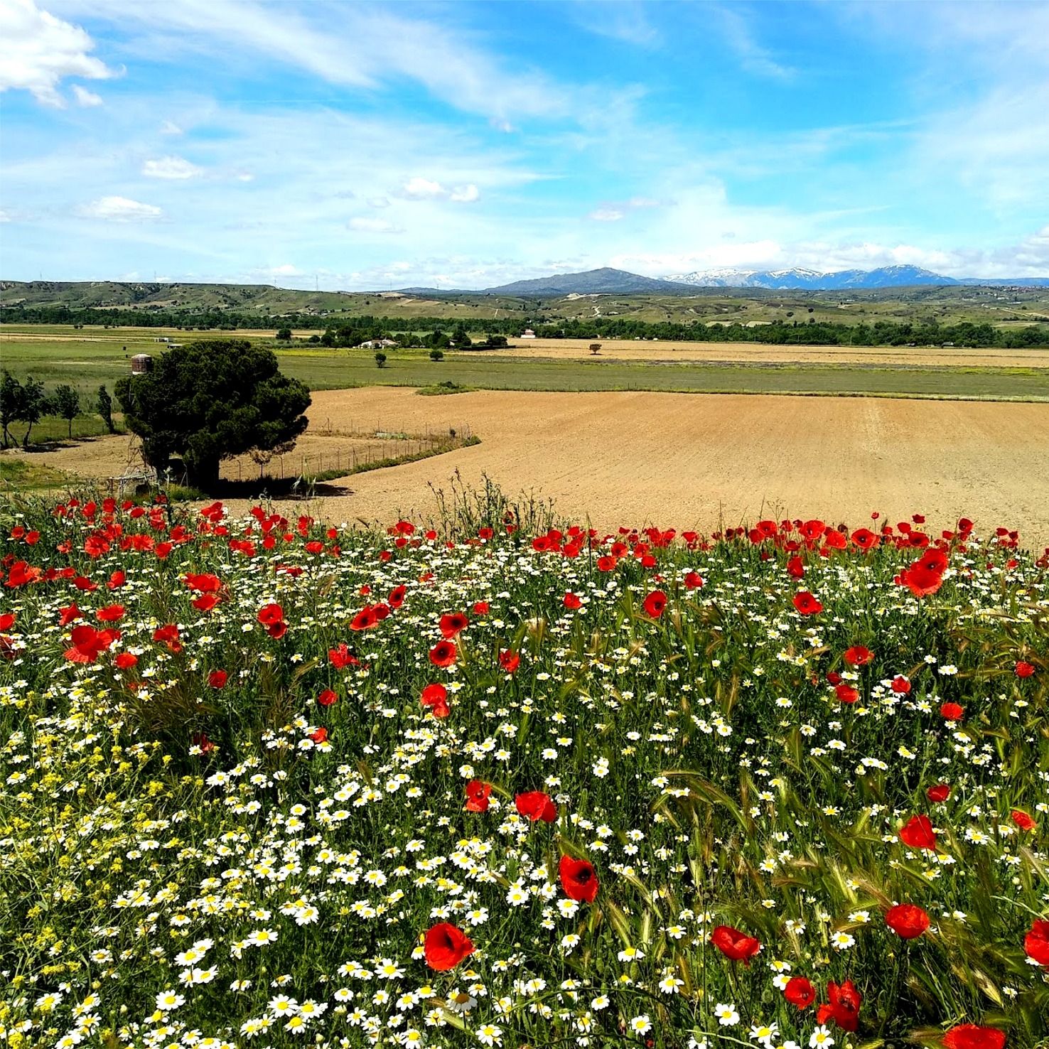 La vida en Valdetorres del Jarama