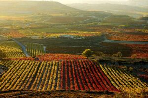 La Rioja Alavesa