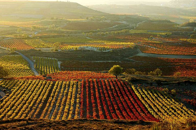 La Rioja Alavesa