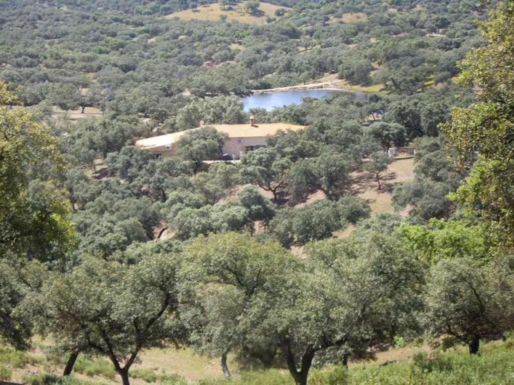 Finca