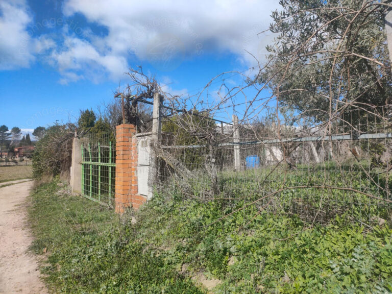ENTRADA