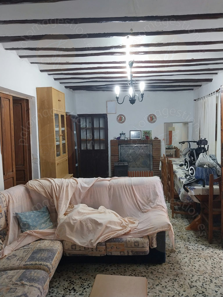 SALON(2)