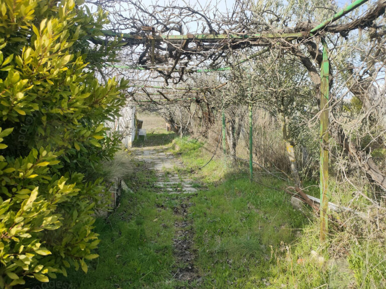 TORRELAGUNA