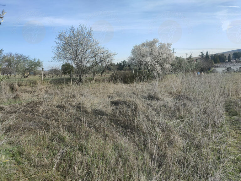 TORRELAGUNA