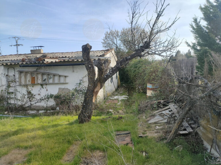 TORRELAGUNA5
