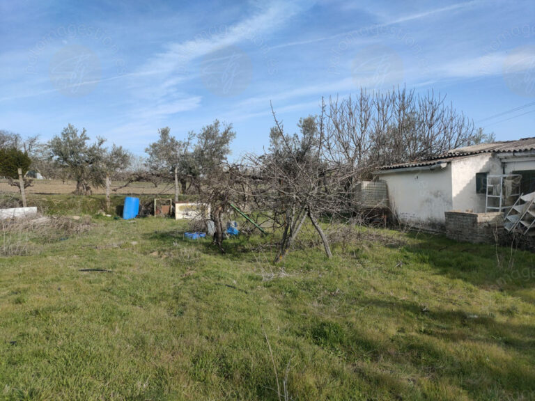 TORRELAGUNA