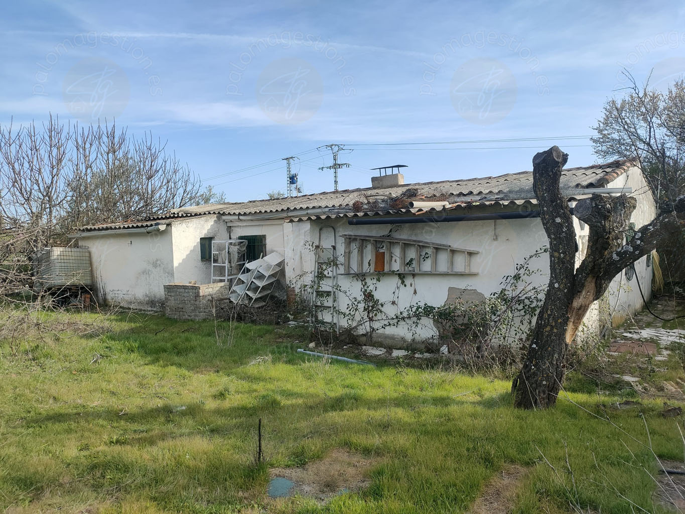 Finca rústica