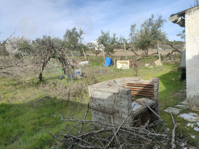 TORRELAGUNA