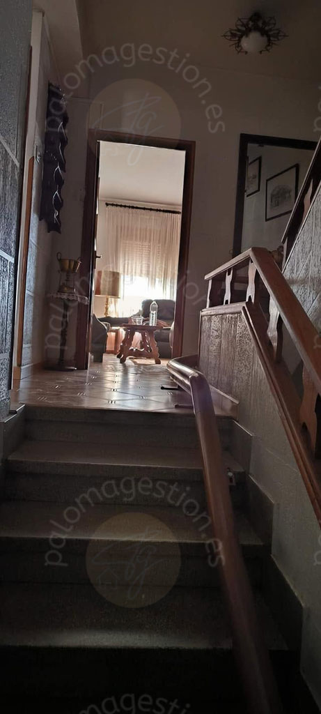 DISTRIBUIDOR  (casa principal)