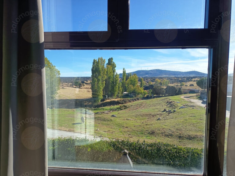 VISTAS